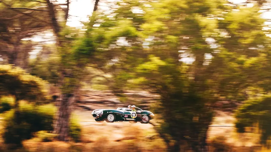 Jaguar Type D traversant une forêt ensoleillée lors d'un rallye de voitures anciennes